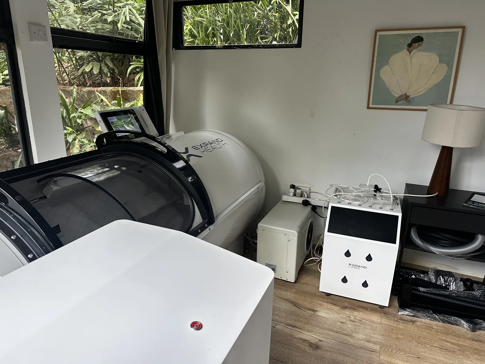 The hyperbaric chamber in the Expand Health Kenya garden room, garden outside the window